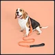 Comfortable dog collar